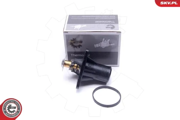 Termostato 20SKV193 SKV