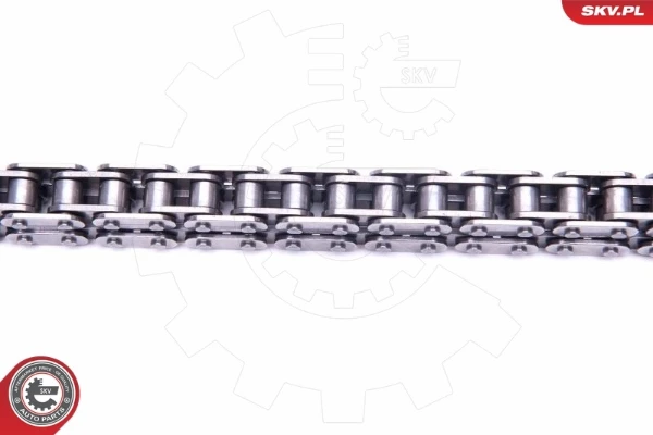 21SKV136 SKV