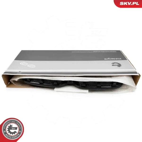 Grelha do radiador BMW 3 G21, G81