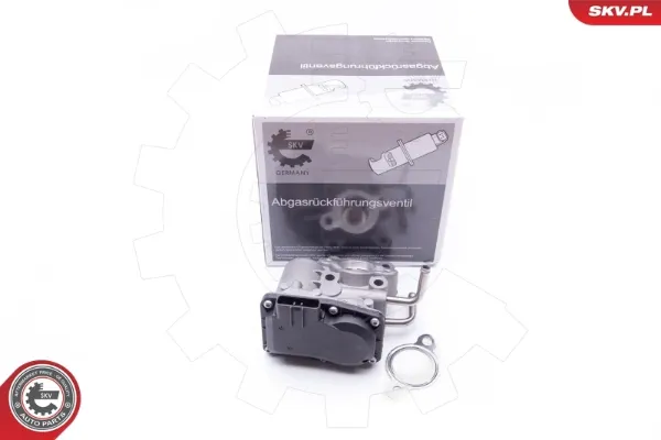 Válvula EGR de recirculação dos gases 14SKV189 SKV