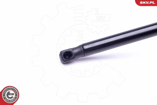 Amortecedor de tampa de porta-malas (de 3ª/5ª porta traseira) Ford Focus 2 DA, HCP, DP