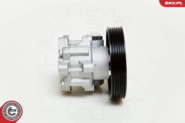 10SKV060 SKV