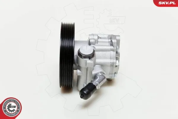 10SKV060 SKV