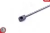 Amortecedor de tampa de porta-malas (de 3ª/5ª porta traseira) Ford Focus 2 DA, HCP, DP