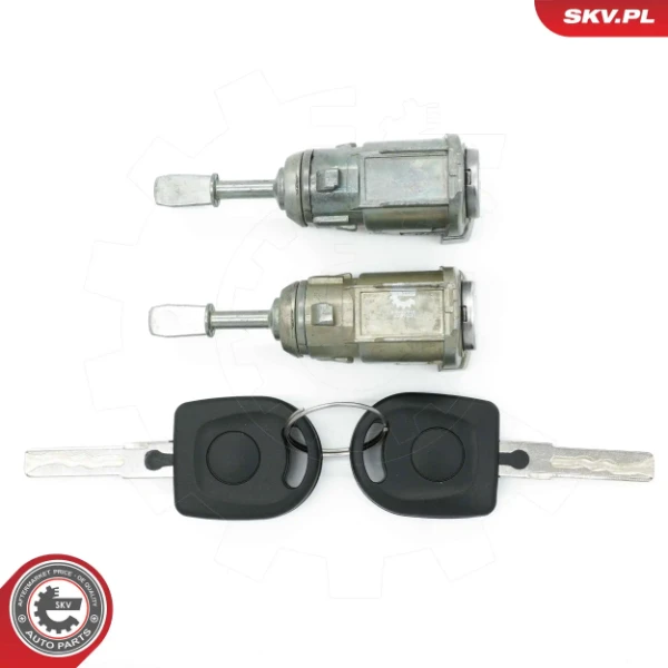 65SKV818 SKV