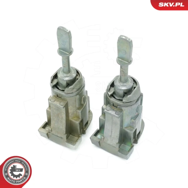 65SKV818 SKV