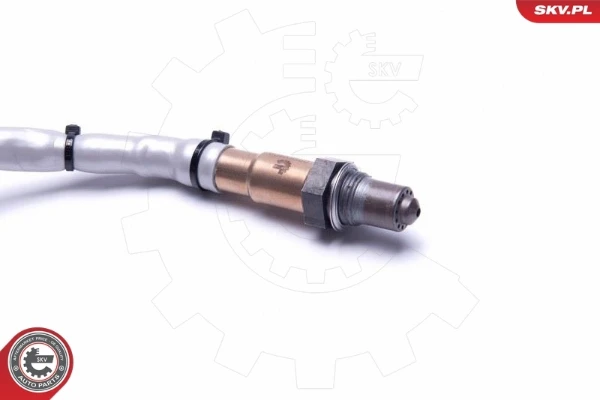 09SKV409 SKV