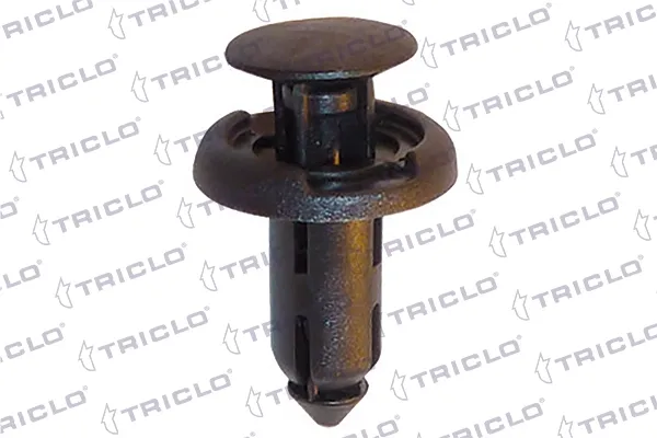  163813 Triclo