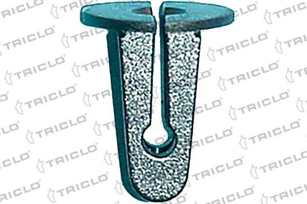  163051 Triclo