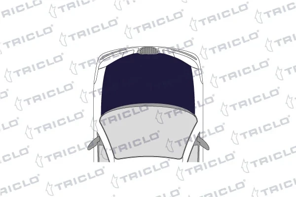 190376 Triclo