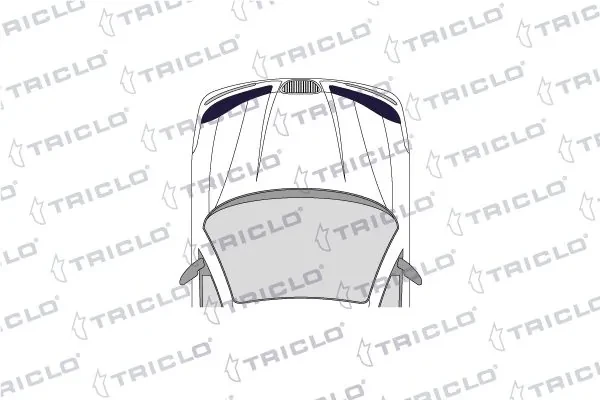 173196 Triclo