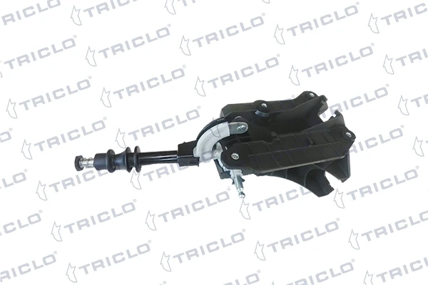 Avalanca de mudança para Fiat Ducato (250)