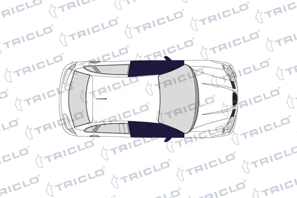 135432 Triclo