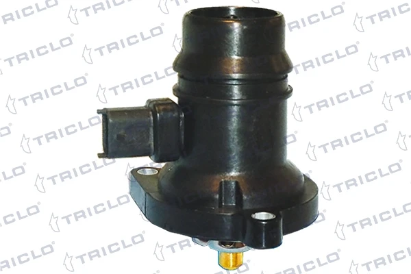 468551 Triclo