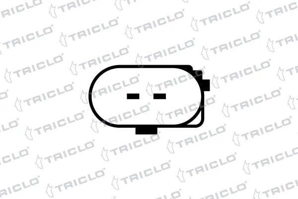 190382 Triclo