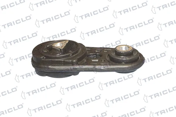 365495 Triclo