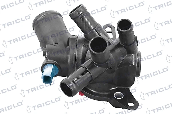 465973 Triclo