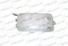 Tanque de expansão do sistema de esfriamento Alfa Romeo 33 907A