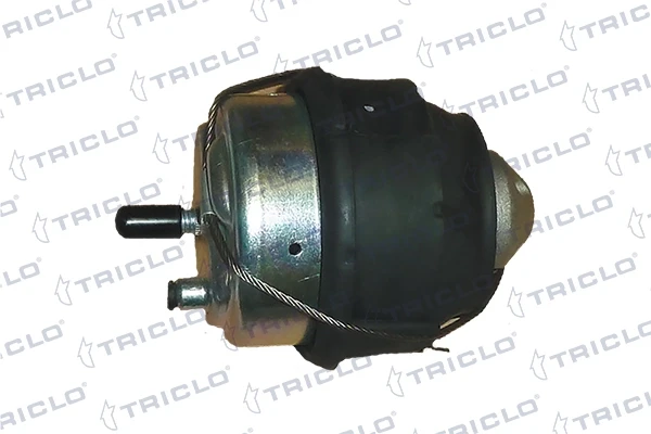367248 Triclo