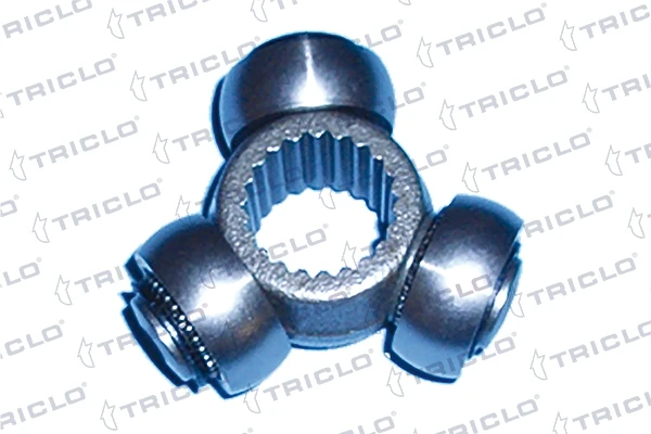 645465 Triclo
