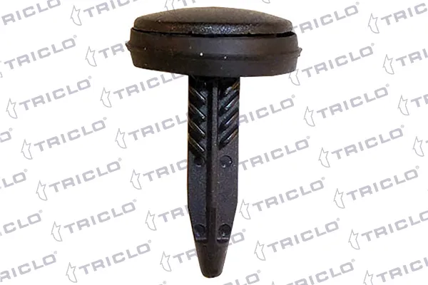  164655 Triclo