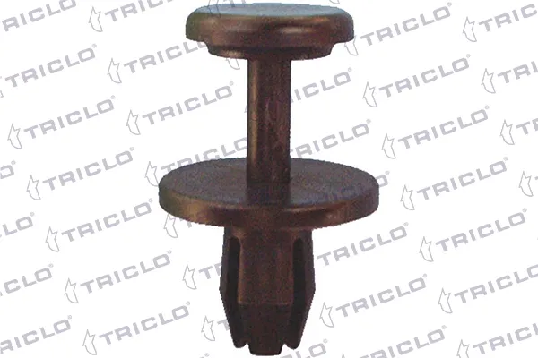  163085 Triclo