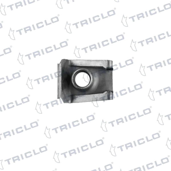  161703 Triclo