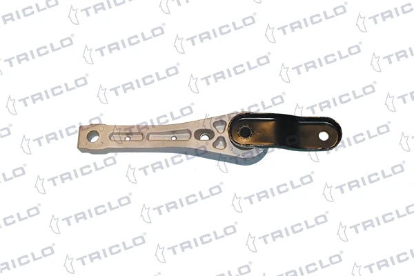 363165 Triclo