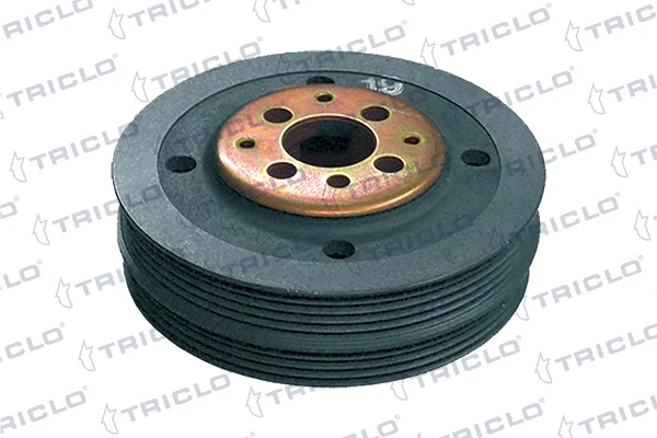 423290 Triclo