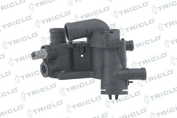 462744 Triclo
