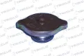 318070 Triclo