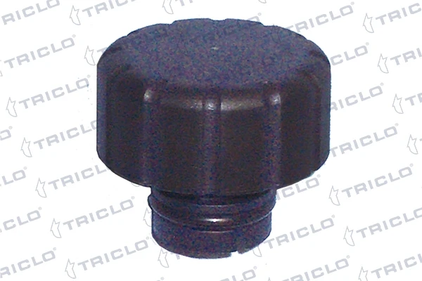 313338 Triclo