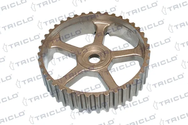 Engrenagem de cadeia da roda dentada da árvore distribuidora de motor 425216 Triclo