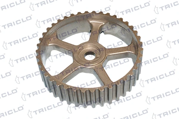 Engrenagem de cadeia da roda dentada da árvore distribuidora de motor para Renault Clio (BC57, 5357)