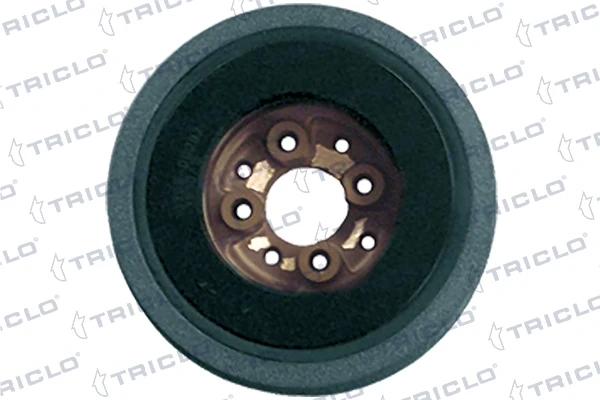 423290 Triclo