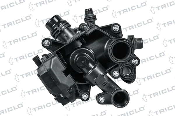 462033 Triclo