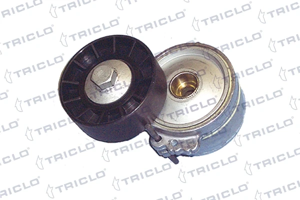 421234 Triclo