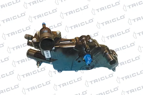 Caixa do termostato Citroen Jumper 244