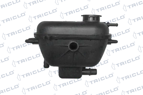 Tanque de expansão do sistema de esfriamento para Citroen ZX (N2)