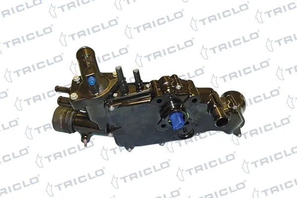 Caixa do termostato 461566 Triclo