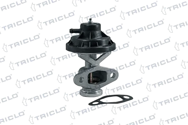 343302 Triclo