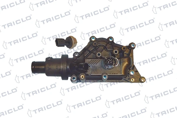 465666 Triclo