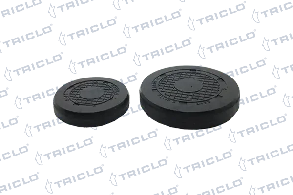 Tampão CBC/do bloco de cilindros para Renault Megane (EM0)