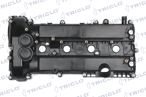396586 Triclo