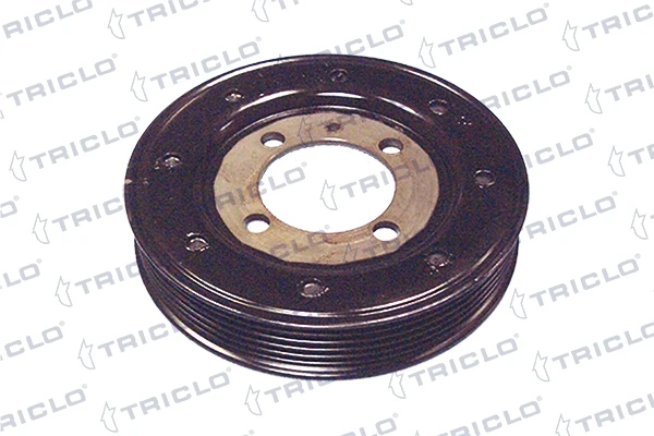 428139 Triclo