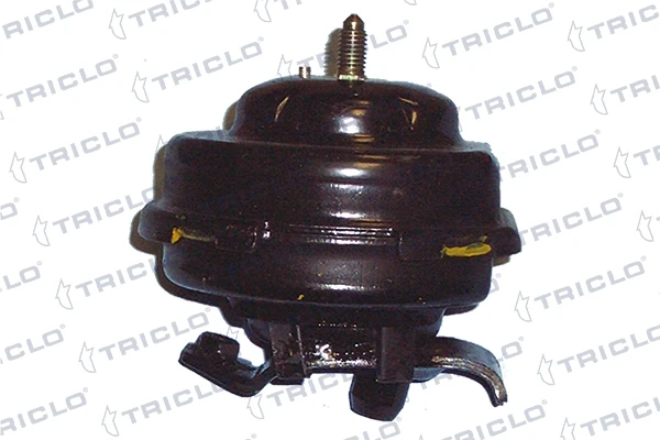 363909 Triclo