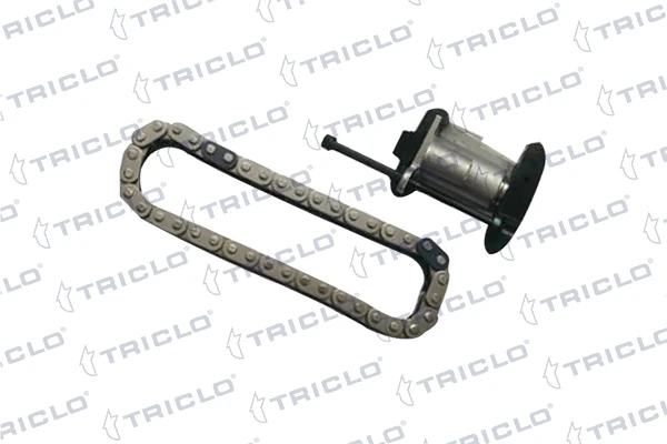 84930 Peugeot/Citroen reguladora de tensão da cadeia do mecanismo de distribuição de gás