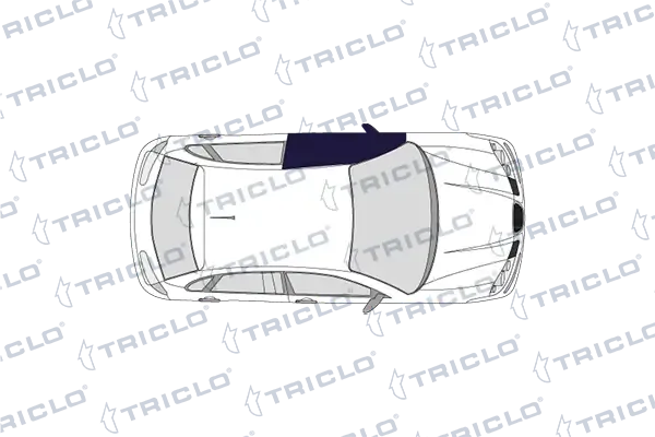 118280 Triclo