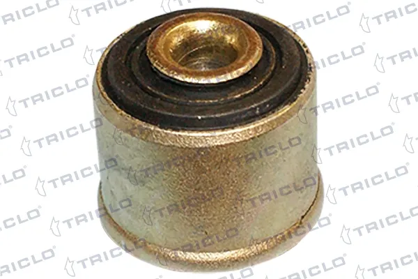  Bloco silencioso dianteiro do braço oscilante inferior Renault Scenic 1