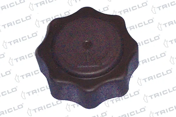 313339 Triclo